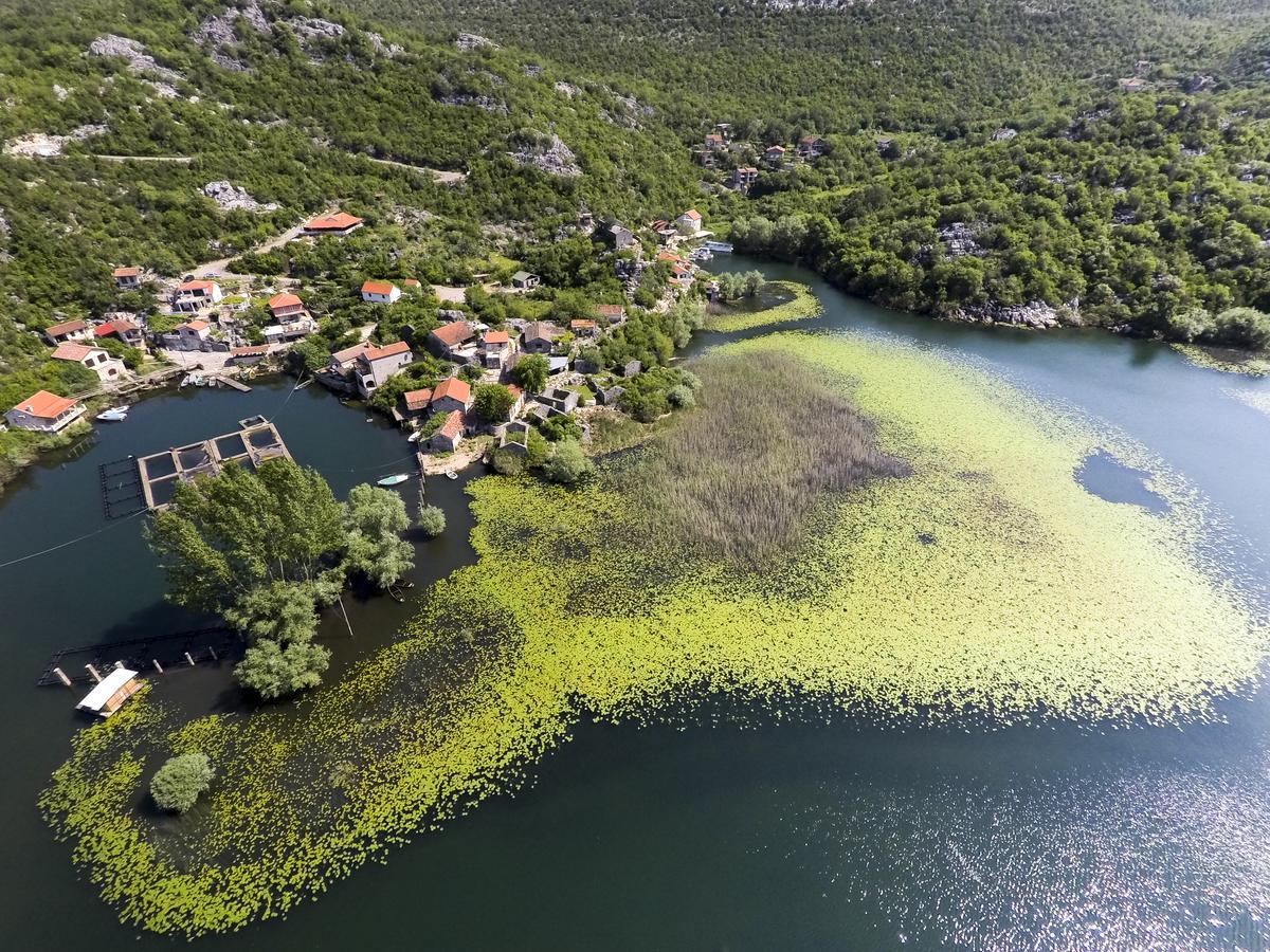 Villa Skadar Lake Karuc Exterior photo